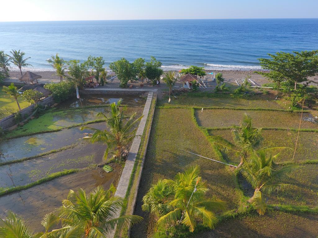 Taman Padi Villa Amed Extérieur photo