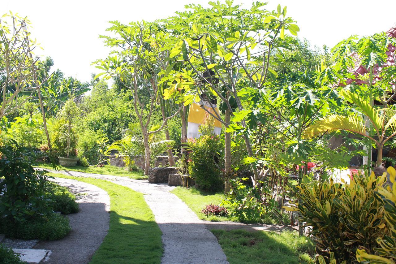Taman Padi Villa Amed Extérieur photo
